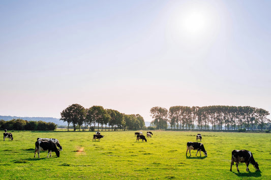 LET’S CLEAR THE AIR ABOUT BOVAER®