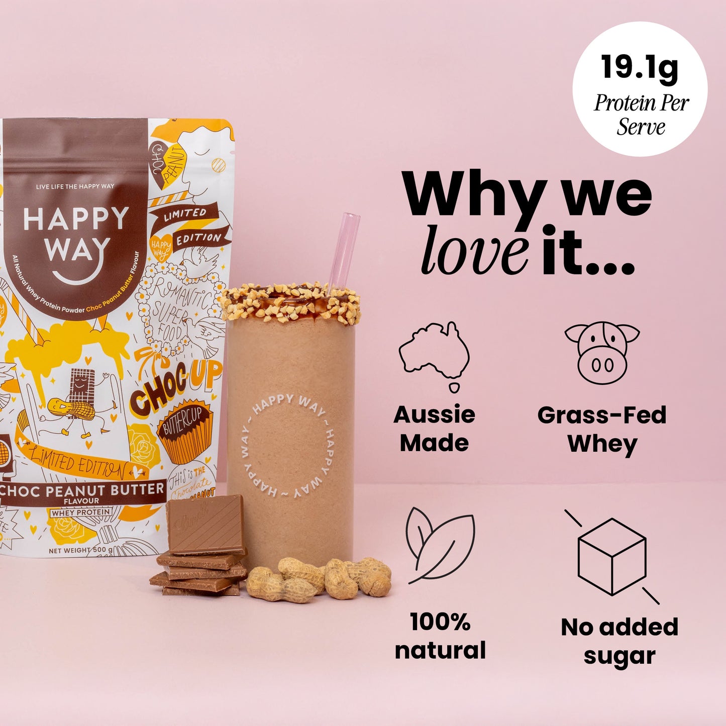 Choc Peanut Butter Whey Protein Powder 500g