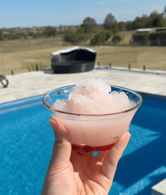 3-INGREDIENT LYCHEE GRANITA