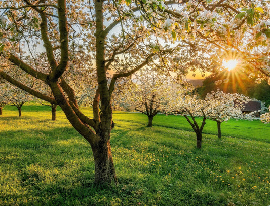 Spring Reset: Why You Don't Need To Get "Summer Ready"