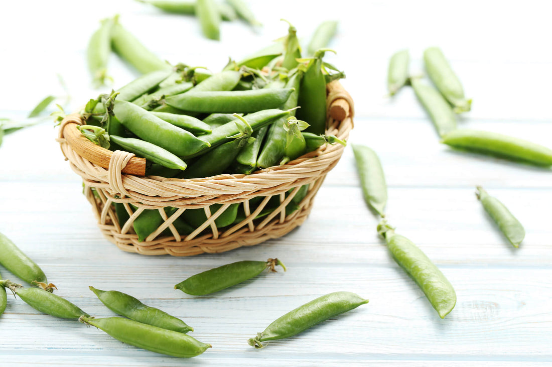 ORGANIC PEA PROTEIN POWDER