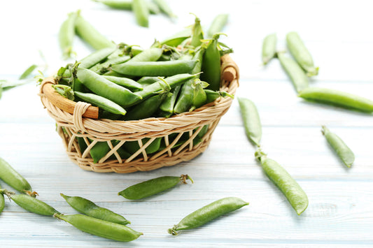 ORGANIC PEA PROTEIN POWDER