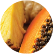 Digestive Enzymes